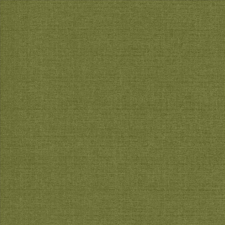 Flynn Fern  by Kasmir Fabric See sample 91% Polyester
9% Nylon
 CHINA 100,000 Wyzenbeek Double Rubs </p><p>Repeat: Horizontal: N/A and Vertical: N/A 54  - Fabric Carolina -