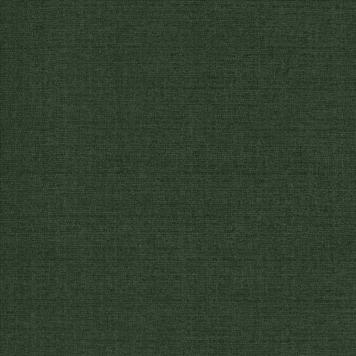 Flynn Forest by Kasmir Fabric 5164 91% Polyester
9% Nylon
 CHINA 100,000 Wyzenbeek Double Rubs </p><p>Repeat: Horizontal: N/A and Vertical: N/A 54 - Fabric Carolina -