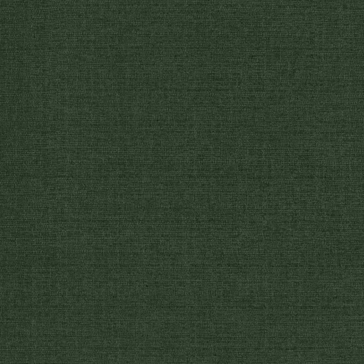 Flynn Forest by Kasmir Fabric 5164 91% Polyester
9% Nylon
 CHINA </p><p>Repeat: Horizontal: N/A and Vertical: N/A 54 - Fabric Carolina -
