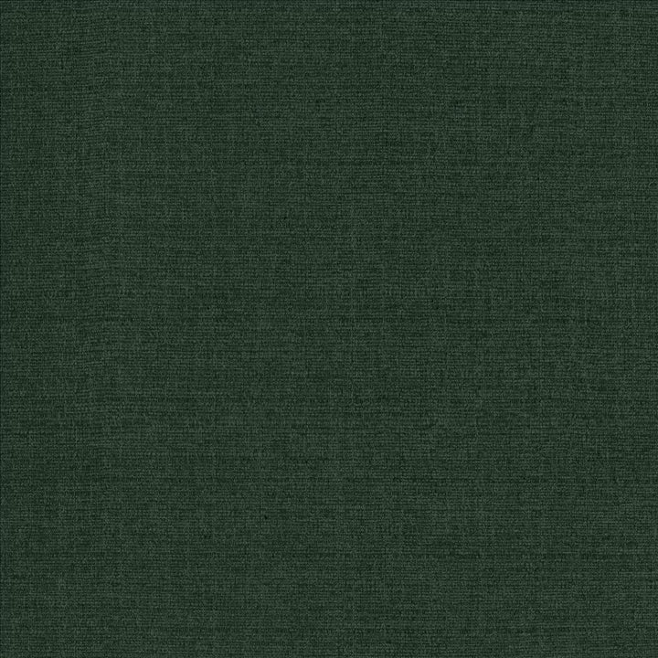 Flynn Forest by Kasmir Fabric 5164 91% Polyester
9% Nylon
 CHINA </p><p>Repeat: Horizontal: N/A and Vertical: N/A 54 - Fabric Carolina -