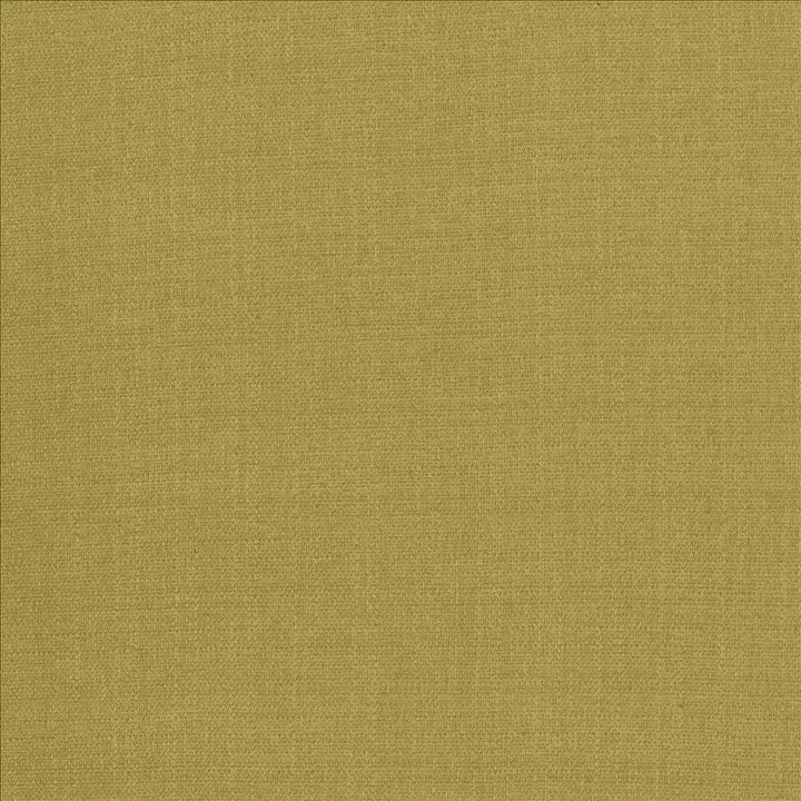 Flynn Wasabi by Kasmir Fabric 5164 91% Polyester
9% Nylon
 CHINA 100,000 Wyzenbeek Double Rubs </p><p>Repeat: Horizontal: N/A and Vertical: N/A 54 - Fabric Carolina -