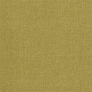 Flynn Wasabi by Kasmir Fabric