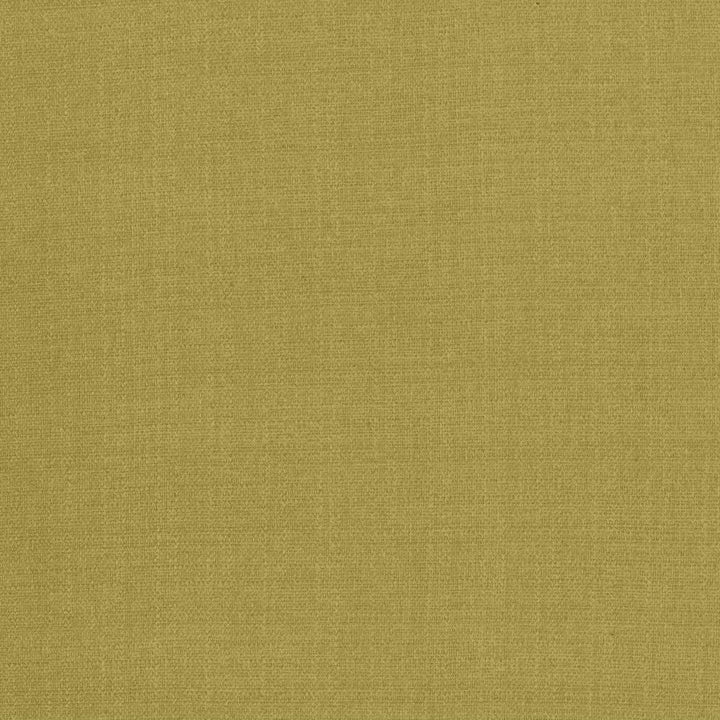 Flynn Wasabi by Kasmir Fabric 5164 91% Polyester
9% Nylon
 CHINA </p><p>Repeat: Horizontal: N/A and Vertical: N/A 54 - Fabric Carolina -