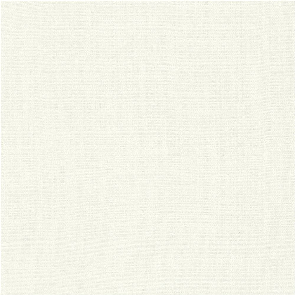 Flynn White by Kasmir Fabric 5164 91% Polyester
9% Nylon
 CHINA 100,000 Wyzenbeek Double Rubs </p><p>Repeat: Horizontal: N/A and Vertical: N/A 54 - Fabric Carolina -