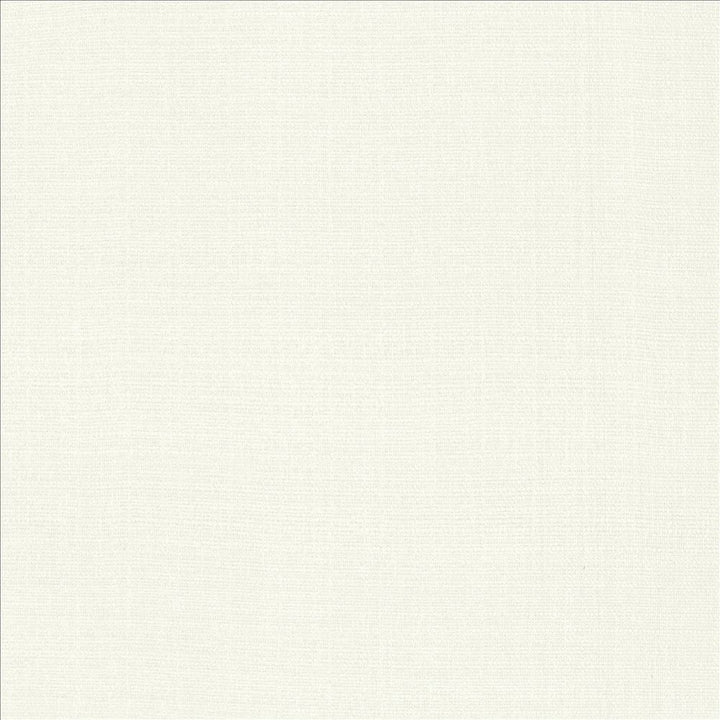 Flynn White by Kasmir Fabric 5164 91% Polyester
9% Nylon
 CHINA 100,000 Wyzenbeek Double Rubs </p><p>Repeat: Horizontal: N/A and Vertical: N/A 54 - Fabric Carolina -