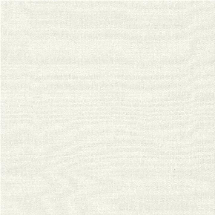 Flynn White by Kasmir Fabric 5164 91% Polyester
9% Nylon
 CHINA </p><p>Repeat: Horizontal: N/A and Vertical: N/A 54 - Fabric Carolina -