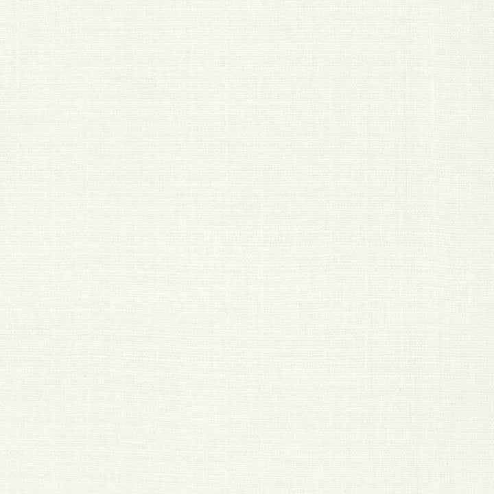 Flynn White by Kasmir Fabric 5164 91% Polyester
9% Nylon
 CHINA </p><p>Repeat: Horizontal: N/A and Vertical: N/A 54 - Fabric Carolina -