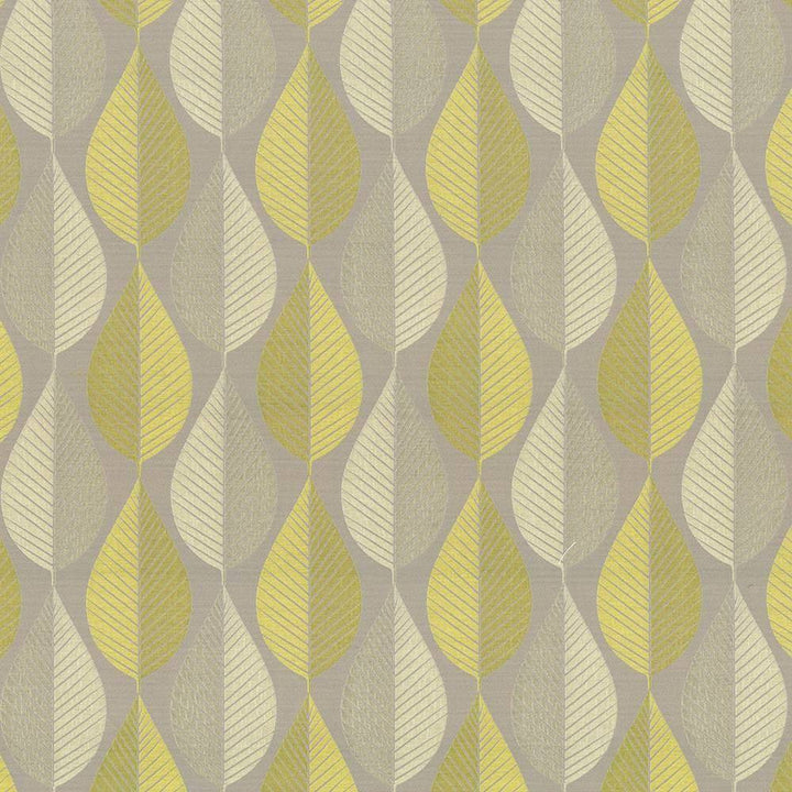 Foliage Tour Citrine by Kasmir Fabric 1434 59% Polyester 41% Rayon INDIA 9,000 Wyzenbeek Double Rubs H: 7 inches, V:17 4/8 inches 57 - Fabric Carolina - Kasmir