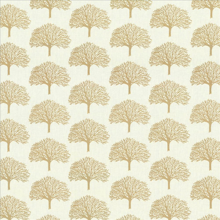 Forest Park Dawn by Kasmir Fabric 1443 70% Polyester
30% Cotton
Embroidery
100% Rayon
 INDIA </p><p>Repeat: Horizontal: 6 4/8 inches and Vertical: 6 2/8 inches 52 - 56 - Fabric Carolina -