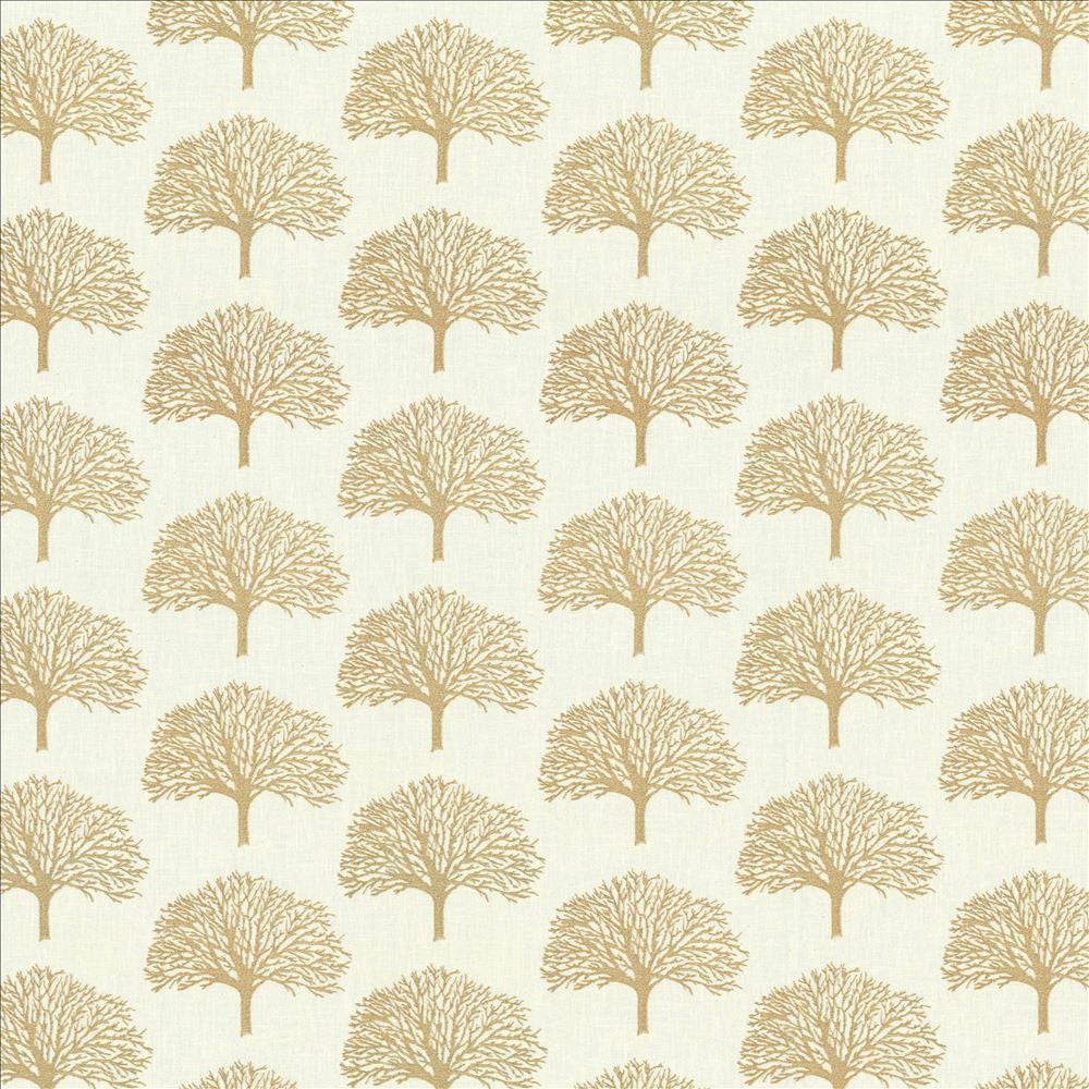 Forest Park Dawn by Kasmir Fabric 1443 70% Polyester
30% Cotton
Embroidery
100% Rayon
 INDIA 30,000 Wyzenbeek Double Rubs Horizontal: 6 4/8 inches and Vertical: 6 2/8 inches 52 - Fabric Carolina -