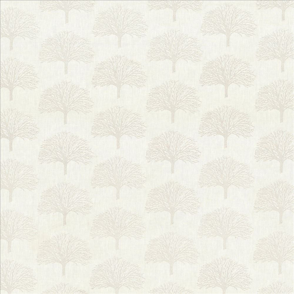 Forest Park Moonlight by Kasmir Fabric 1443 70% Polyester
30% Cotton
Embroidery
100% Rayon
 INDIA 30,000 Wyzenbeek Double Rubs </p><p>Repeat: Horizontal: 6 4/8 inches and Vertical: 6 2/8 inches 52 - Fabric Carolina -