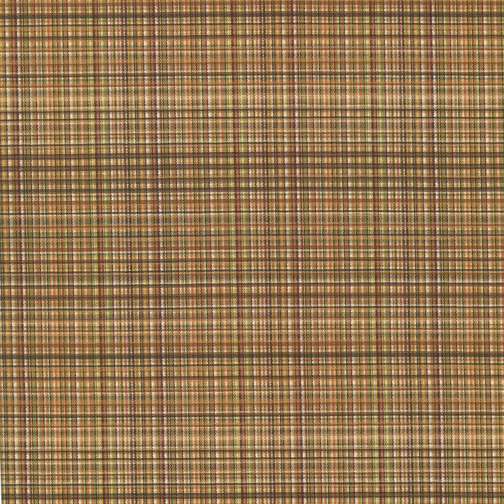Formosa Brown Blaze by Kasmir Fabric 5069 55% Cotton
45% Polyester
 TAIWAN 15,000 Wyzenbeek Double Rubs </p><p>Repeat: Horizontal: 6 6/8 inches and Vertical: 2 7/8 inches 55 - Fabric Carolina -
