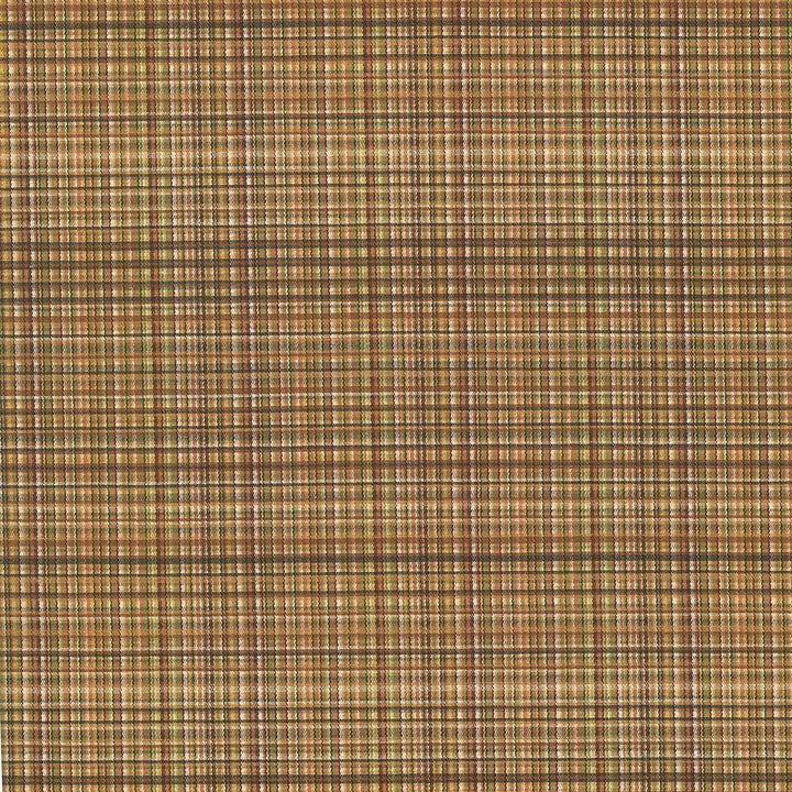 Formosa Brown Blaze by Kasmir Fabric 5069 55% Cotton 45% Polyester TAIWAN 15,000 Wyzenbeek Double Rubs H: 6 6/8 inches, V:2 7/8 inches 55 - Fabric Carolina - Kasmir