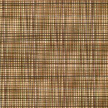 Formosa Brown Blaze by Kasmir Fabric 5069 55% Cotton 45% Polyester TAIWAN 15,000 Wyzenbeek Double Rubs H: 6 6/8 inches, V: 2 7/8 inches 55 - Fabric Carolina - Kasmir