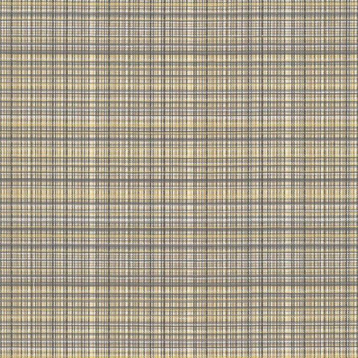 Formosa Dove by Kasmir Fabric 5067 55% Cotton 45% Polyester TAIWAN 15,000 Wyzenbeek Double Rubs H: 6 6/8 inches, V:2 7/8 inches 55 - Fabric Carolina - Kasmir