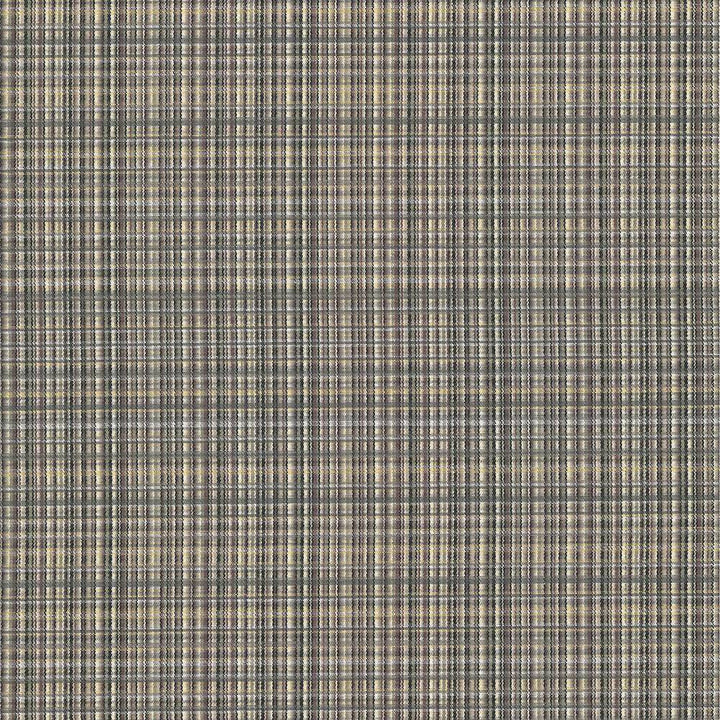 Formosa Sandstone by Kasmir Fabric 5067 55% Cotton 45% Polyester TAIWAN 15,000 Wyzenbeek Double Rubs H: 6 6/8 inches, V:2 7/8 inches 55 - Fabric Carolina - Kasmir