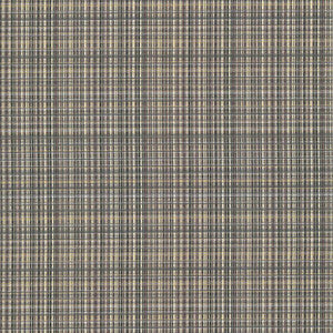 Formosa Sandstone by Kasmir Fabric