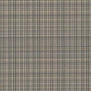 Formosa Sandstone by Kasmir Fabric 5067 55% Cotton 45% Polyester TAIWAN 15,000 Wyzenbeek Double Rubs H: 6 6/8 inches, V: 2 7/8 inches 55 - Fabric Carolina - Kasmir