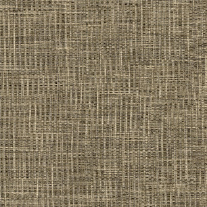 Foundation Ashen  by Kasmir Fabric See sample 64% Polyester
18% Cotton
9% Linen
9% Rayon
 INDIA 30,000 Wyzenbeek Double Rubs </p><p>Repeat: Horizontal: N/A and Vertical: N/A 54  - Fabric Carolina -
