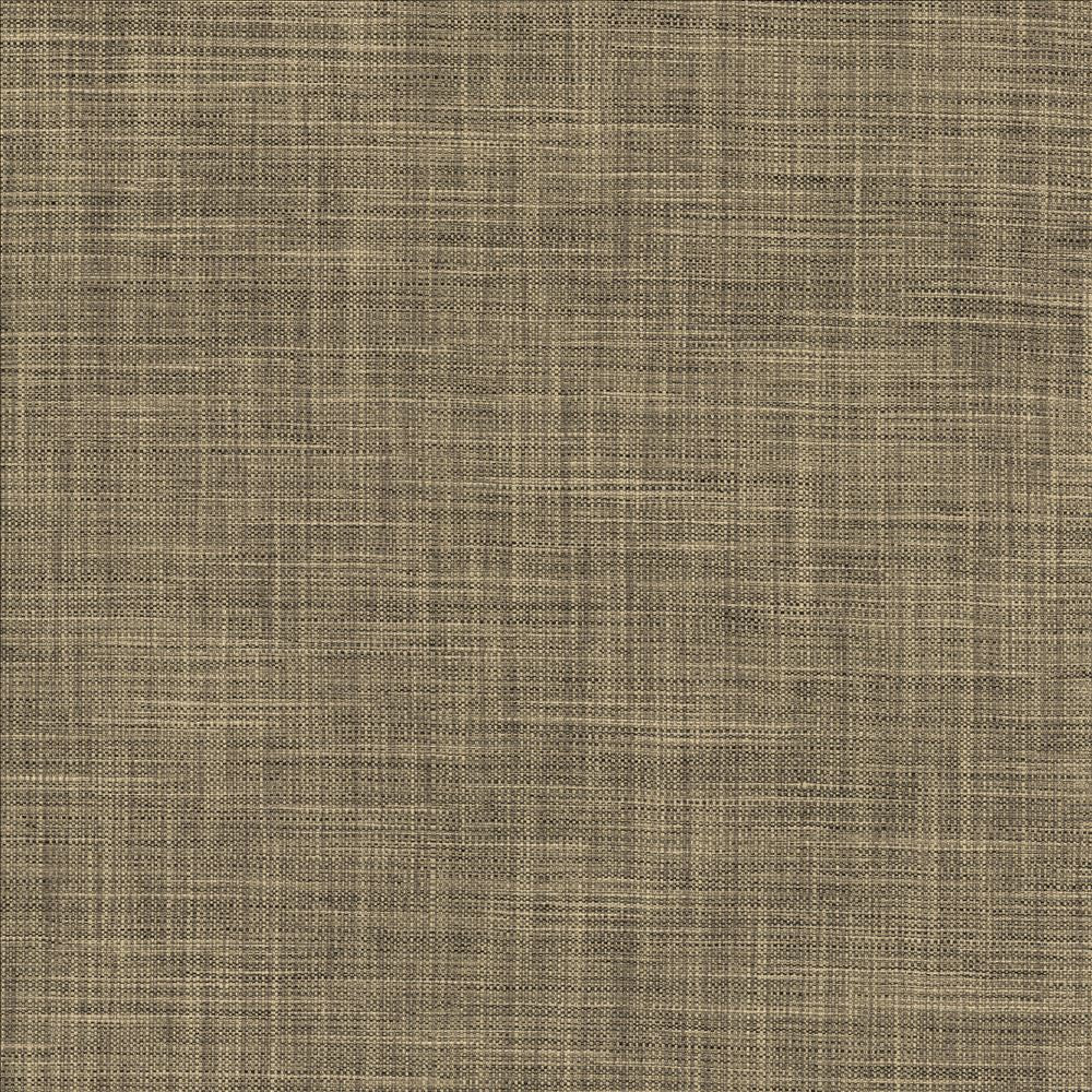 Foundation Ashen by Kasmir Fabric 5120 64% Polyester
18% Cotton
9% Linen
9% Rayon
 INDIA </p><p>Repeat: Horizontal: N/A and Vertical: N/A 54 - Fabric Carolina -