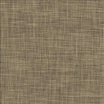 Foundation Ashen by Kasmir Fabric 5120 64% Polyester 18% Cotton 9% Linen 9% Rayon INDIA 30,000 Wyzenbeek Double Rubs H: N/A, V: N/A 54 - Fabric Carolina - Kasmir