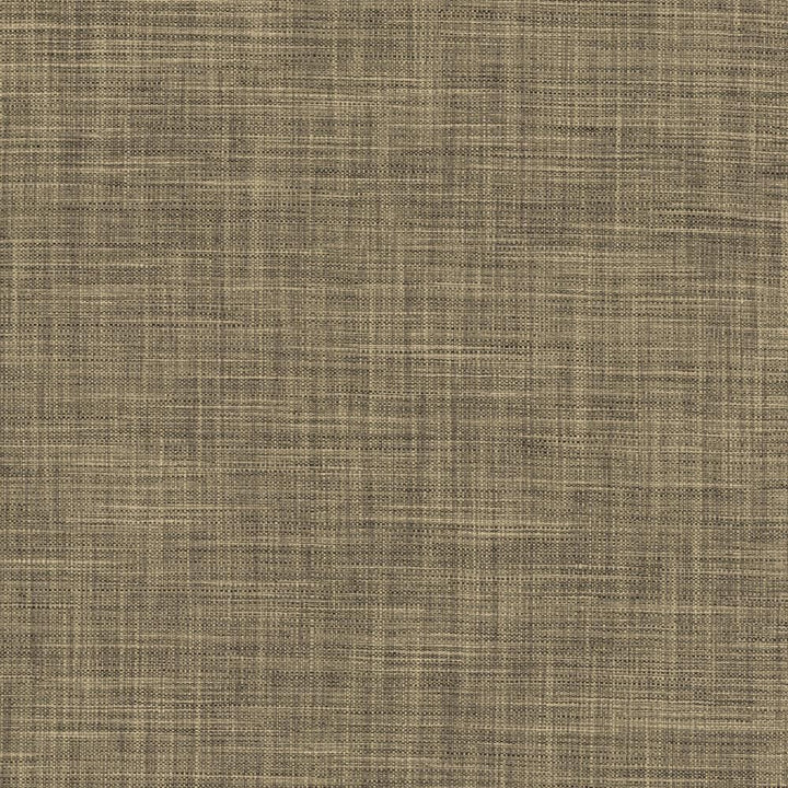 Foundation Ashen by Kasmir Fabric 5120 64% Polyester
18% Cotton
9% Linen
9% Rayon
 INDIA </p><p>Repeat: Horizontal: N/A and Vertical: N/A 53 - Fabric Carolina -