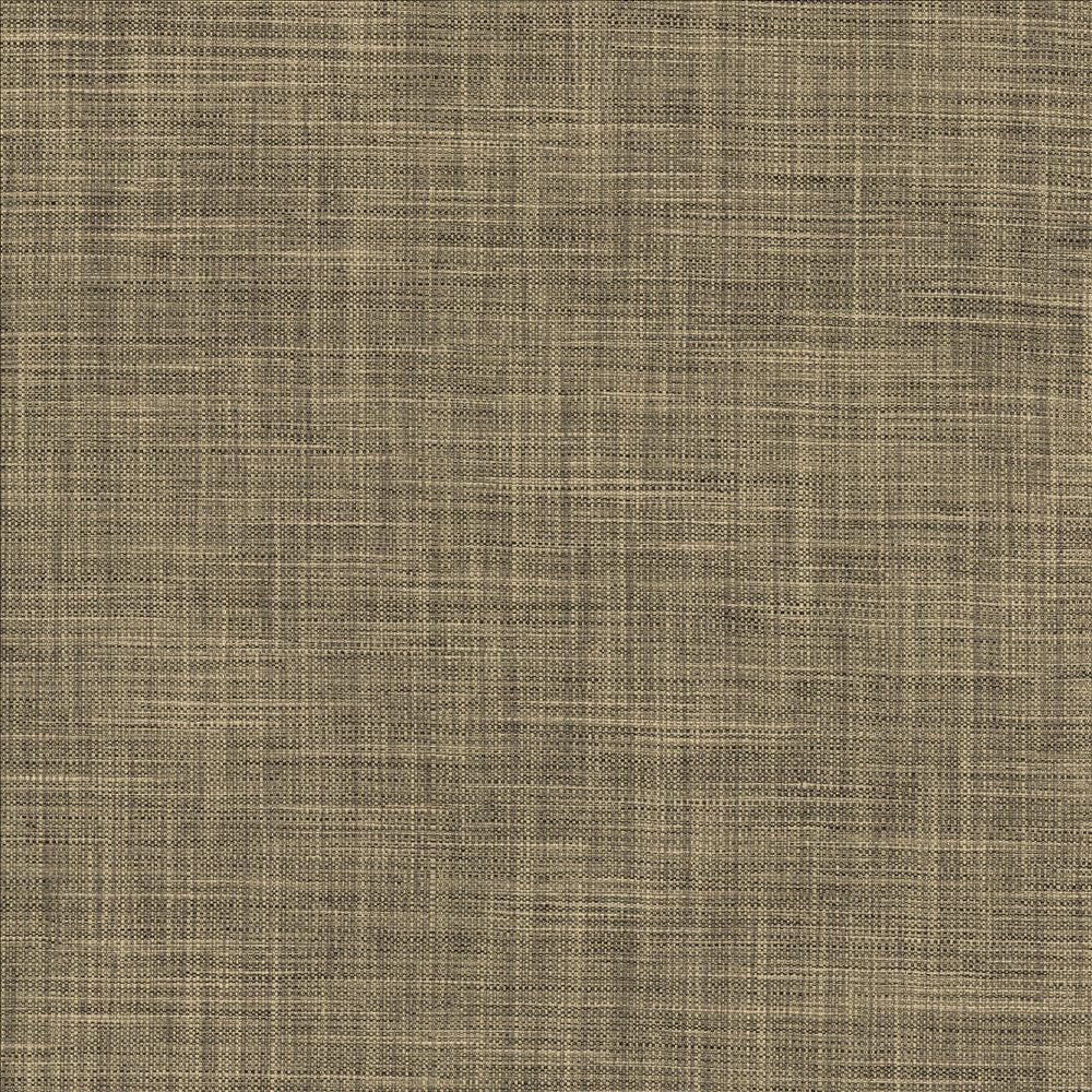 Foundation Ashen by Kasmir Fabric 5120 64% Polyester
18% Cotton
9% Linen
9% Rayon
 INDIA 30,000 Wyzenbeek Double Rubs Horizontal: N/A and Vertical: N/A 54 - Fabric Carolina -