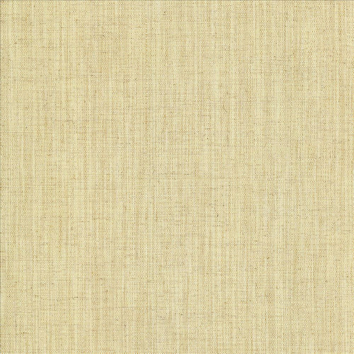 Foundation Bone by Kasmir Fabric 5120 64% Polyester
18% Cotton
9% Linen
9% Rayon
 INDIA 30,000 Wyzenbeek Double Rubs Horizontal: N/A and Vertical: N/A 54 - Fabric Carolina -
