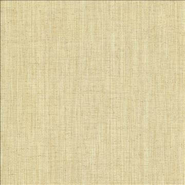 Foundation Bone by Kasmir Fabric 5120 64% Polyester 18% Cotton 9% Linen 9% Rayon INDIA 30,000 Wyzenbeek Double Rubs H: N/A, V: N/A 54 - Fabric Carolina - Kasmir