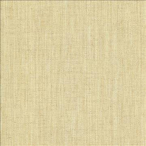 Foundation Bone by Kasmir Fabric