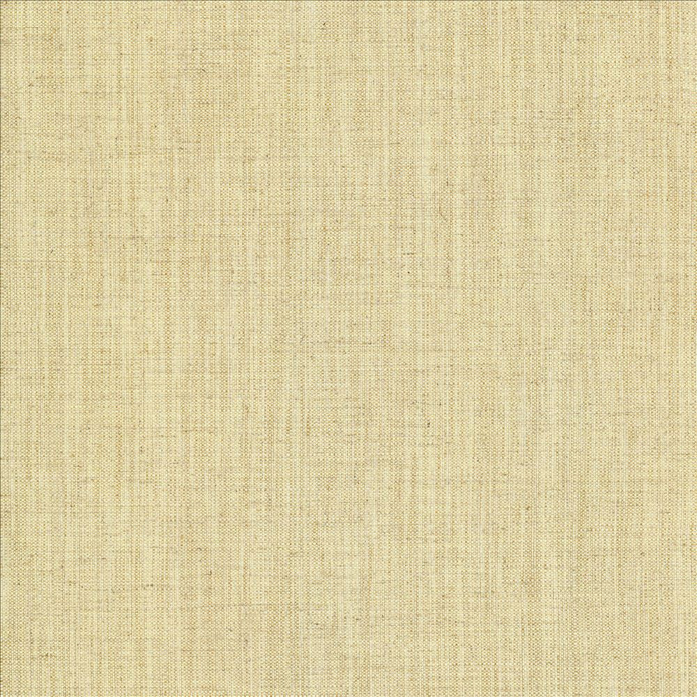 Foundation Bone by Kasmir Fabric 5120 64% Polyester
18% Cotton
9% Linen
9% Rayon
 INDIA </p><p>Repeat: Horizontal: N/A and Vertical: N/A 54 - Fabric Carolina -