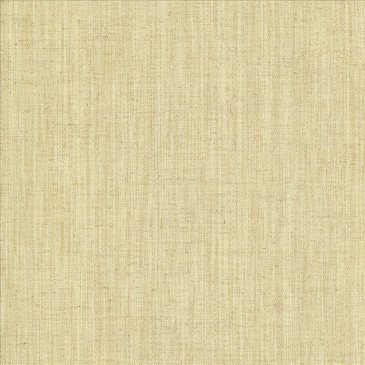 Foundation Bone by Kasmir Fabric 5120 64% Polyester
18% Cotton
9% Linen
9% Rayon
 INDIA </p><p>Repeat: Horizontal: N/A and Vertical: N/A 54 - Fabric Carolina -