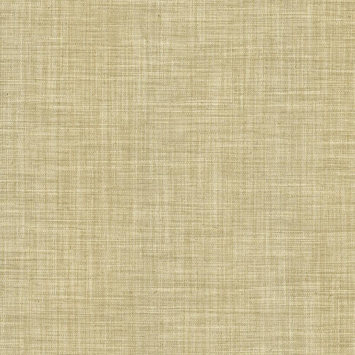 Foundation Dust by Kasmir Fabric 5120 64% Polyester
18% Cotton
9% Linen
9% Rayon
 INDIA </p><p>Repeat: Horizontal: N/A and Vertical: N/A 53 - Fabric Carolina -