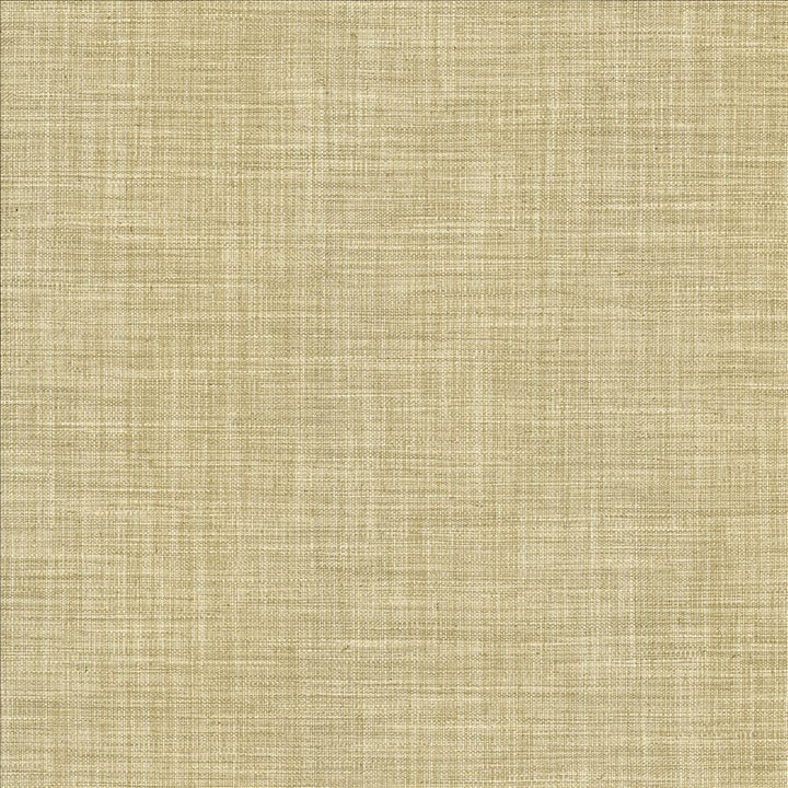 Foundation Dust  by Kasmir Fabric See sample 64% Polyester
18% Cotton
9% Linen
9% Rayon
 INDIA 30,000 Wyzenbeek Double Rubs </p><p>Repeat: Horizontal: N/A and Vertical: N/A 54  - Fabric Carolina -