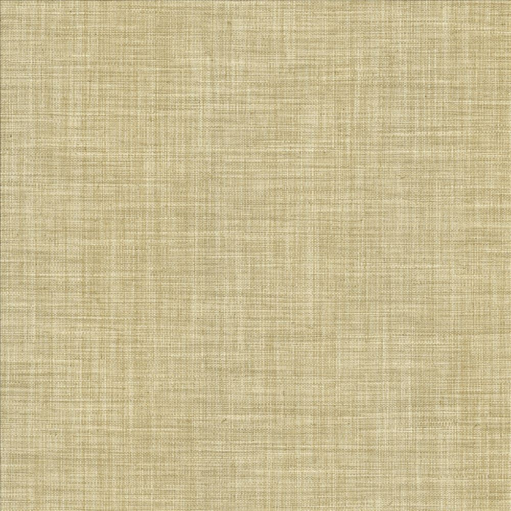 Foundation Dust by Kasmir Fabric 5120 64% Polyester
18% Cotton
9% Linen
9% Rayon
 INDIA 30,000 Wyzenbeek Double Rubs </p><p>Repeat: Horizontal: N/A and Vertical: N/A 53 - Fabric Carolina -