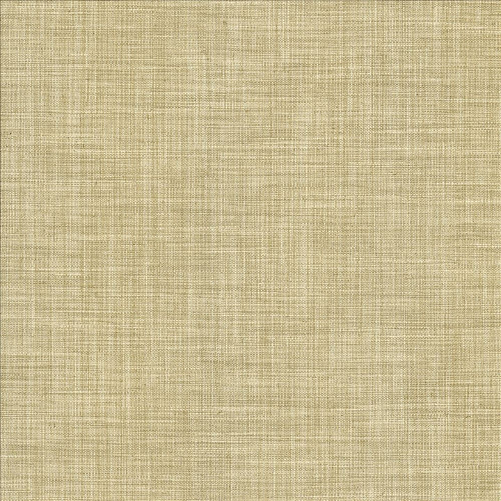 Foundation Dust by Kasmir Fabric 5120 64% Polyester
18% Cotton
9% Linen
9% Rayon
 INDIA </p><p>Repeat: Horizontal: N/A and Vertical: N/A 54 - Fabric Carolina -