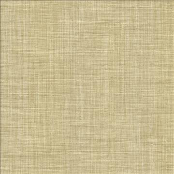 Foundation Dust by Kasmir Fabric 5120 64% Polyester 18% Cotton 9% Linen 9% Rayon INDIA 30,000 Wyzenbeek Double Rubs H: N/A, V: N/A 54 - Fabric Carolina - Kasmir