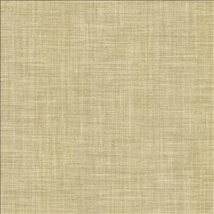 Foundation Dust by Kasmir Fabric