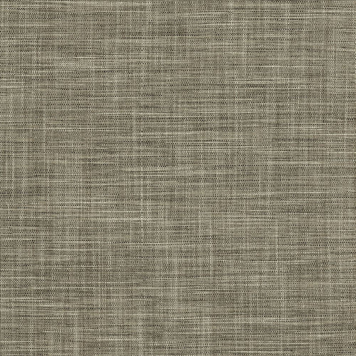 Foundation Granite by Kasmir Fabric 5120 64% Polyester
18% Cotton
9% Linen
9% Rayon
 INDIA </p><p>Repeat: Horizontal: N/A and Vertical: N/A 54 - Fabric Carolina -
