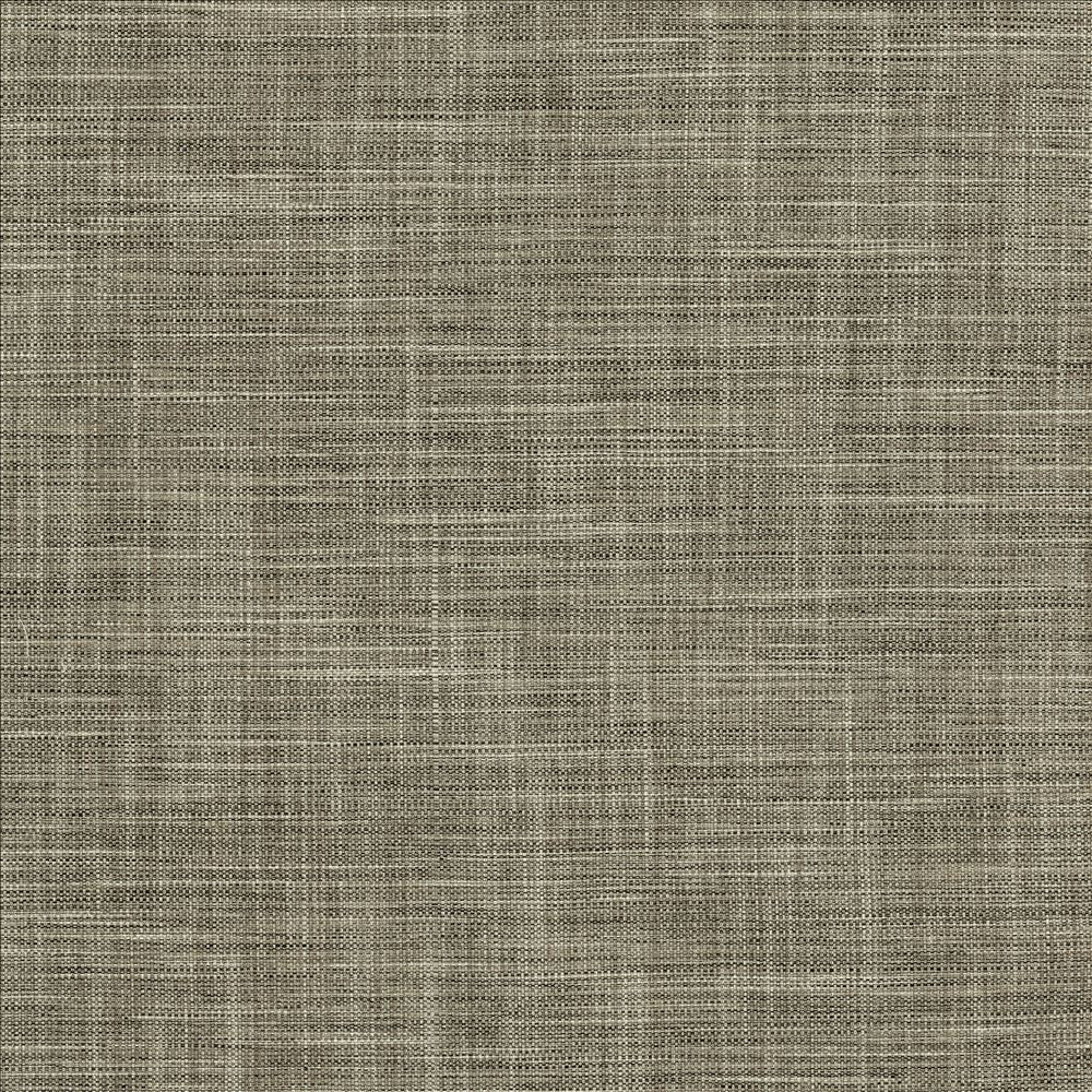 Foundation Granite by Kasmir Fabric 5120 64% Polyester
18% Cotton
9% Linen
9% Rayon
 INDIA </p><p>Repeat: Horizontal: N/A and Vertical: N/A 54 - Fabric Carolina -