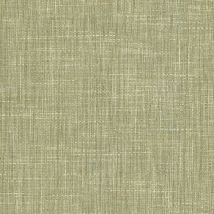 Foundation Mermaid by Kasmir Fabric 5120 64% Polyester
18% Cotton
9% Linen
9% Rayon
 INDIA </p><p>Repeat: Horizontal: N/A and Vertical: N/A 53 - Fabric Carolina -