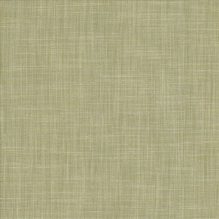 Foundation Mermaid by Kasmir Fabric 5120 64% Polyester
18% Cotton
9% Linen
9% Rayon
 INDIA 30,000 Wyzenbeek Double Rubs Horizontal: N/A and Vertical: N/A 54 - Fabric Carolina -