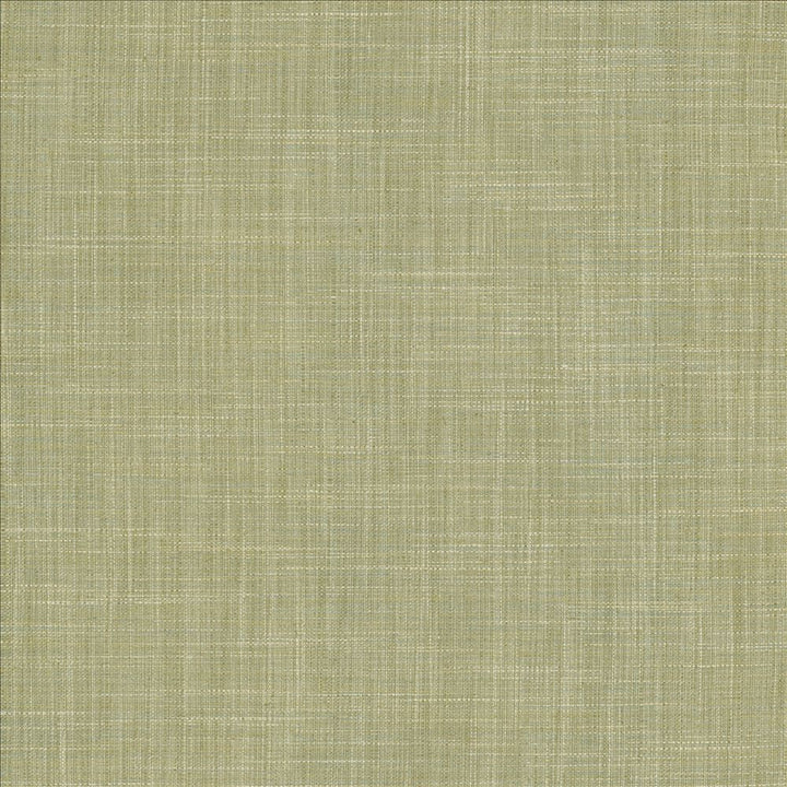 Foundation Mermaid by Kasmir Fabric 5120 64% Polyester
18% Cotton
9% Linen
9% Rayon
 INDIA </p><p>Repeat: Horizontal: N/A and Vertical: N/A 54 - Fabric Carolina -