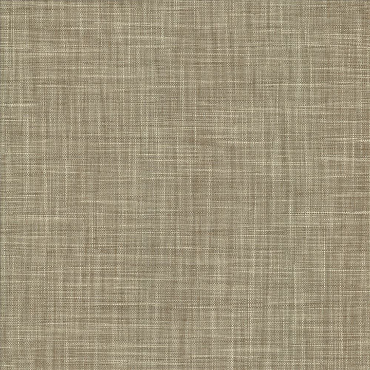 Foundation Storm by Kasmir Fabric 5120 64% Polyester
18% Cotton
9% Linen
9% Rayon
 INDIA </p><p>Repeat: Horizontal: N/A and Vertical: N/A 54 - Fabric Carolina -
