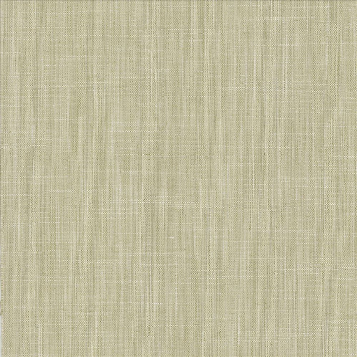 Foundation Vapor by Kasmir Fabric 5120 64% Polyester
18% Cotton
9% Linen
9% Rayon
 INDIA 30,000 Wyzenbeek Double Rubs Horizontal: N/A and Vertical: N/A 54 - Fabric Carolina -