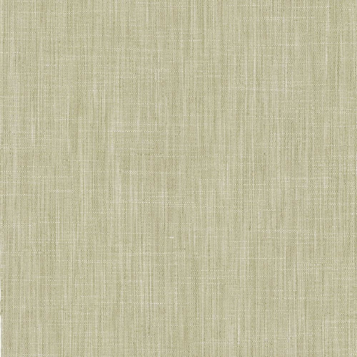 Foundation Vapor by Kasmir Fabric 5120 64% Polyester
18% Cotton
9% Linen
9% Rayon
 INDIA </p><p>Repeat: Horizontal: N/A and Vertical: N/A 53 - Fabric Carolina -