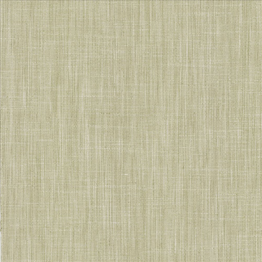 Foundation Vapor by Kasmir Fabric 5120 64% Polyester
18% Cotton
9% Linen
9% Rayon
 INDIA </p><p>Repeat: Horizontal: N/A and Vertical: N/A 54 - Fabric Carolina -