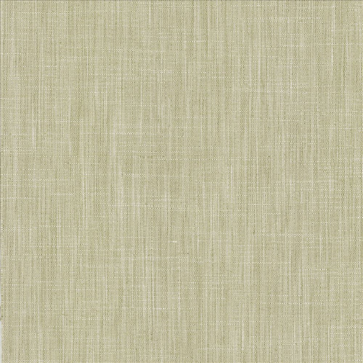 Foundation Vapor by Kasmir Fabric 5120 64% Polyester
18% Cotton
9% Linen
9% Rayon
 INDIA </p><p>Repeat: Horizontal: N/A and Vertical: N/A 54 - Fabric Carolina -