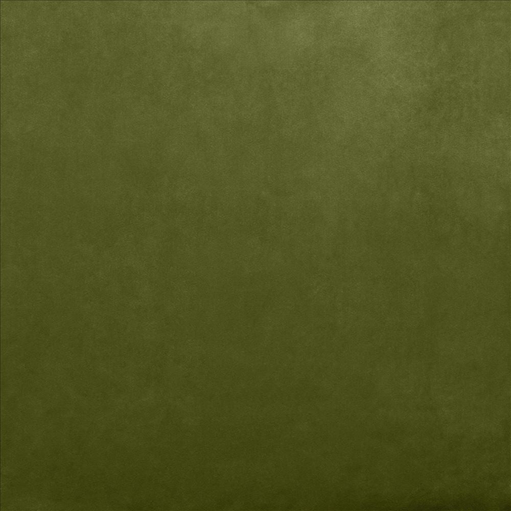 Fr Savor Basil by Kasmir Fabric 5151 100% Polyester
 CHINA </p><p>Repeat: Horizontal: N/A and Vertical: N/A 58 - Fabric Carolina -