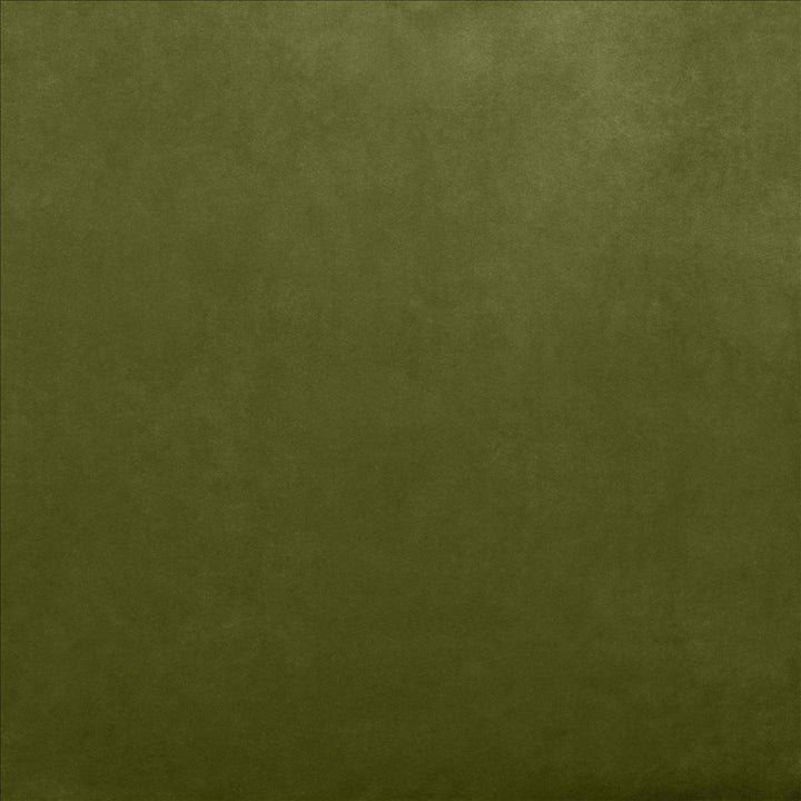 Fr Savor Basil by Kasmir Fabric 5151 100% Polyester
 CHINA Horizontal: N/A and Vertical: N/A 58 - Fabric Carolina -